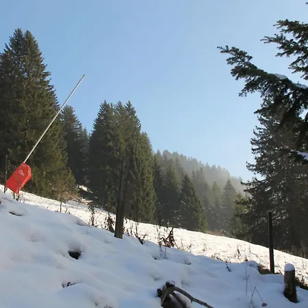 Athena 6 By Interhome Villars-sur-Ollon